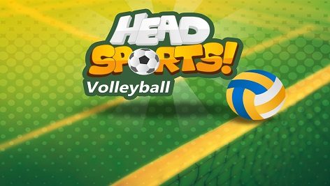 Head Sports Volleyball